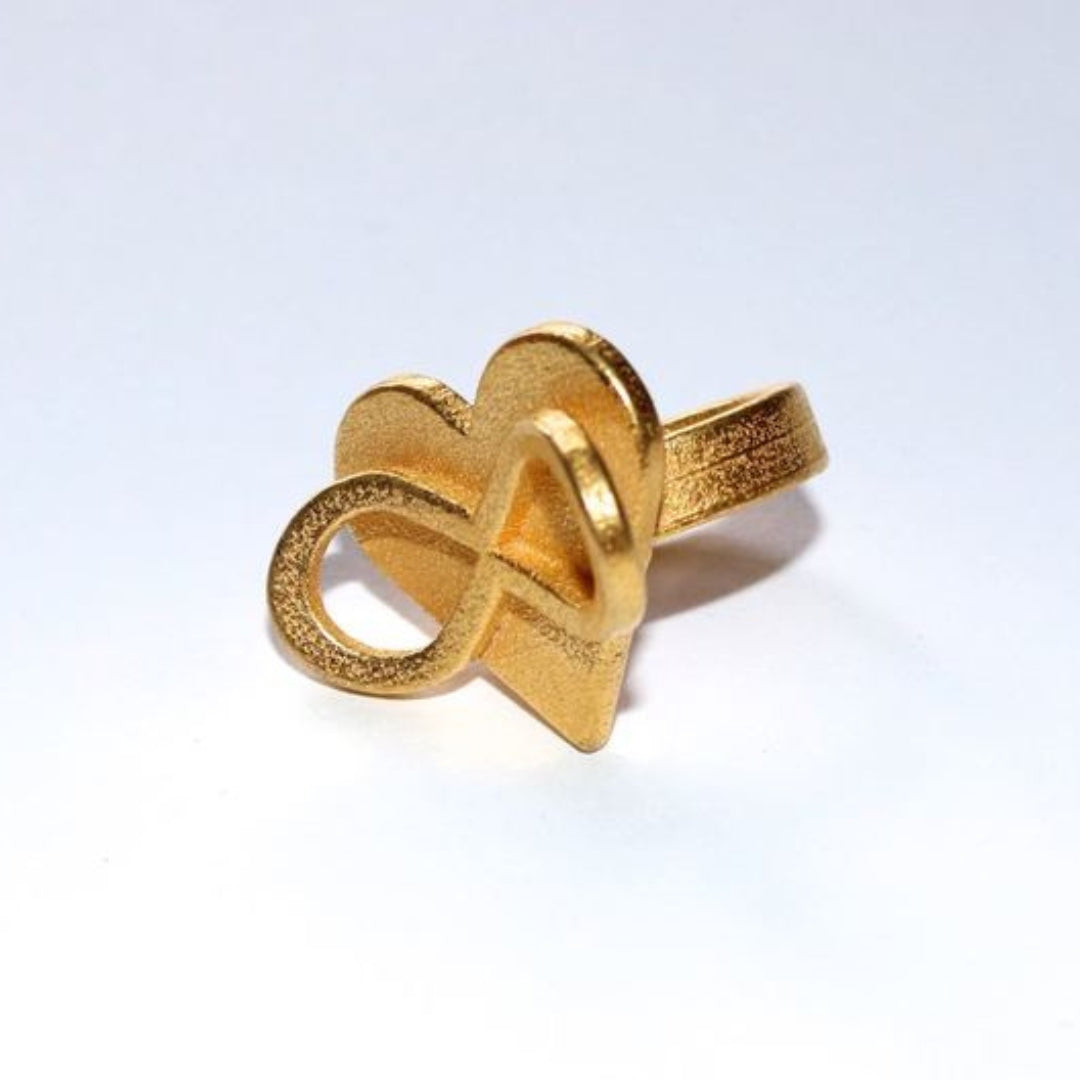 AMOURARMOR in polished gold steel