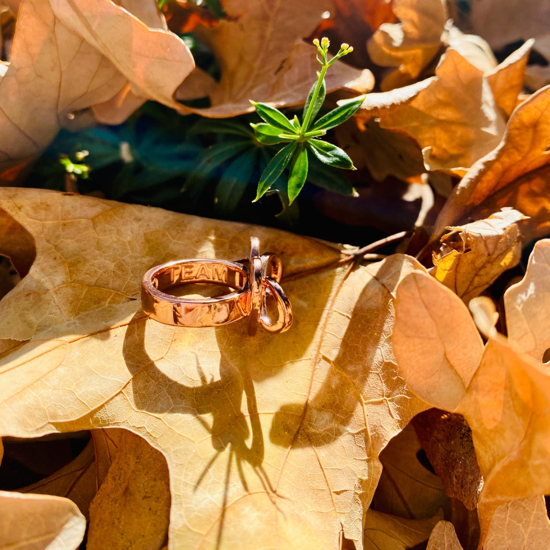 AMOURARMOR petite in 14k rose gold plated