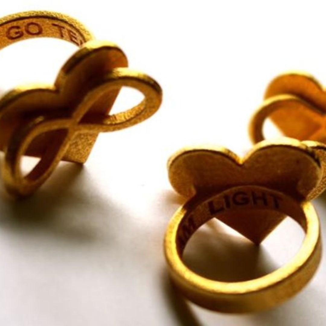 AMOURARMOR in polished gold steel
